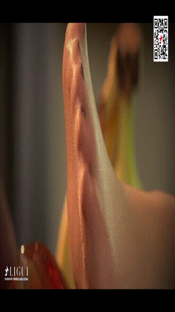 【丽柜】2017.10.03 HD视频 Vicky[1V313M]