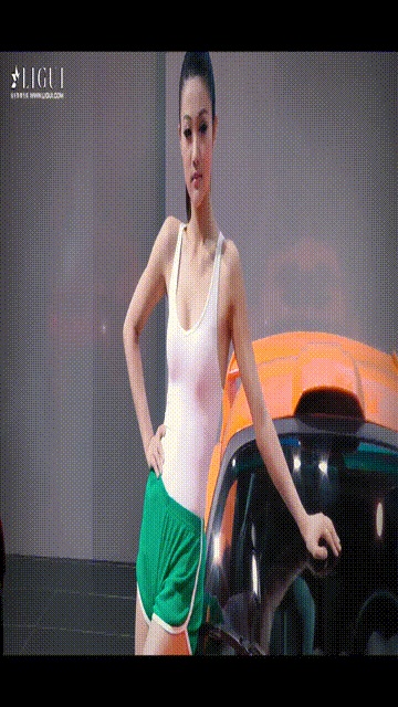 【丽柜】2017.11.13 HD视频 车展2[1V243M]