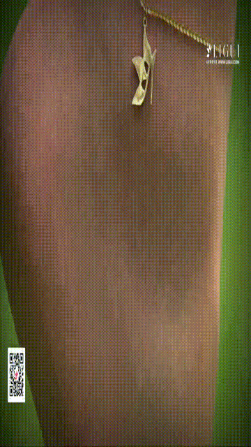 【丽柜】2017.10.07 HD视频 筱筱[1V229M]