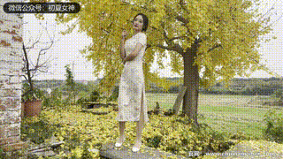 【初夏女神 】NO.120 依依 寒冬旗袍风