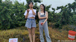 【初夏女神 】NO.055 双双&amp点点 桃园姐妹封面图