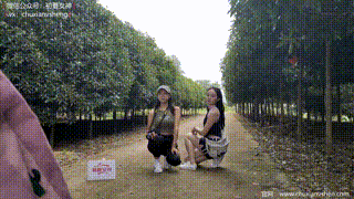 【初夏女神 】NO.058 点点&amp双双 姐妹出行