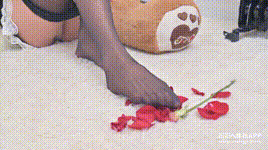 【SSA丝社】 短片 NO.103 君君 波兰MissO丝袜