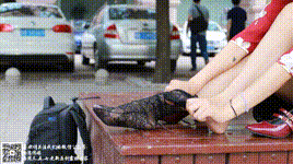 【物恋传媒】第52期：和风洛丽塔，古风日式与西洋的混搭期：