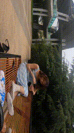 【物恋传媒】第16期：经典就是不需挑片。透明肉丝配清纯白棉袜.MOV