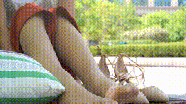 【物恋传媒】第150期：视频课件