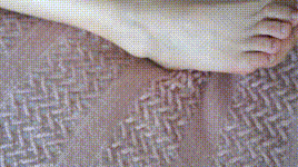 【物恋传媒】第246期：小飞-等一朵花开