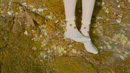 【物恋传媒】第427期：学习视频427