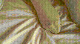 【物恋传媒】第393期：学习视频393