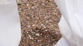 【物恋传媒】第514期：猫耳-深海便利店