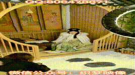 【织梦映像】NO.039 汉唐遗韵-绰约仙子迎风立