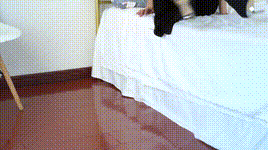 【物恋传媒】第811期：小鹿-竹林梦