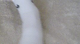 【物恋传媒】第1297期：菜菜-萤火虫小巷封面图