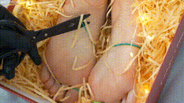 【物恋传媒】第1705期：菜菜-最好的浪漫封面图