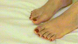 【物恋传媒】第2070期：泡泡-玫瑰花的葬礼期：封面图