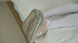 【物恋传媒】第1909期：茯苓-朝朝暮暮封面图