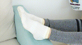 【物恋传媒】第1982茯苓-鸟的眼睛封面图