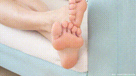 【物恋传媒】第2042期：茯苓-樱花覆盖地面封面图