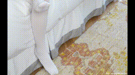 【物恋传媒】第2224期：闪闪-天明那道光封面图