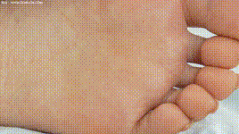 【物恋传媒】第2384期：芋头-三双高跟鞋、薄肉丝（脚尖透明款）、裸足