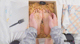 【Limerence】EJ生日特辑脚脚蛋糕足盒封面图